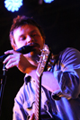 Thieving Birds